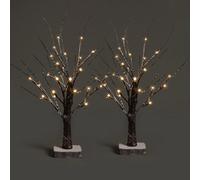 Netta Set Of 2 2Ft Twig Birch Tree With Pre-Lit With 24 Warm White Leds - Battery Powered - Brown