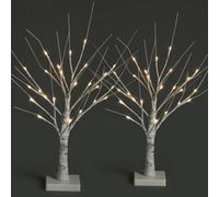 Netta Set Of 2 2Ft Twig Birch Tree With Pre-Lit With 24 Warm White Leds - Battery Powered - White