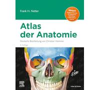 Netter Atlas der Anatomie: Deutsche Bearbeitung von Christian Hammer (VORKLINIK - Lehrbuch - Urban & Fischer-Verlag)