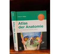 Netter Atlas der Anatomie: Deutsche Bearbeitung von Christian Hammer (VORKLINIK - Lehrbuch - Urban & Fischer-Verlag)