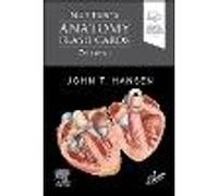 Netter's Anatomy Flash Cards