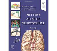 Netter's Atlas of Neuroscience: (Netter Basic Science 4th edition)
