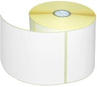 Netuno 10 Rolls of White Thermal Labels 100x150 mm 4x6 in 500 Pieces self-Adhesive Paper Labels for Thermal Printing Labelling Packages barcodes Address Shipping Package Label Blank Perforated Label