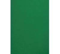Netuno 10 Sheets Dark Green A4 Cardstock 210x297 mm 300gsm Malmero Amazone Thick Paper for Crafts School Projects Decorations