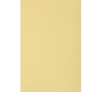 Netuno 10 Sheets of Cream Cardboard A5 148,5 x 210 mm 5.83 x 8.27 250 GSM Burano Camoscio Double Sided Paper for Inkjet Laser Printing Scrapbooking Invitations Crafting Greeting Cards Business Flyers