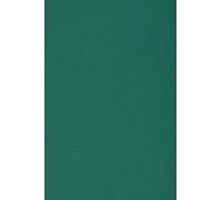 Netuno 10 Sheets of Dark Green Cardboard SRA3 320 x 450 mm 12.59 x 17.71 250 GSM Burano English Green Double Sided Paper for Inkjet Laser Printing Scrapbooking Invitation Crafting Greeting Card Flyer