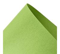 Netuno 10 Sheets Pistachio Green cardstock A4 210x297mm for certificates | 220g Prisma Pistacchio · softly embossed surface · ideal for dry techniques · dyed through the mass · professional finish