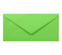 Netuno 100 Green Coloured envelopes DL 110 x 220 mm 4.33 x 8.66 in 80gsm Rainbow Decorative Envelope Colourful Long envelopes for Letters Flyers Business Cards Birthdays Weddings