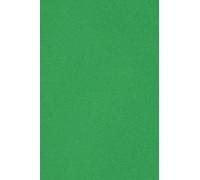 Netuno 100 Sheets of Green Cardboard A4 210 x 297 mm 8.27 x 11.69 250 GSM Burano Verde Bandiera Double Sided Paper for Inkjet Laser Printing Scrapbooking Invitation Crafting Greeting Cards Flyers DIY