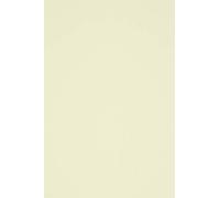 Netuno 100 x Ivory Textured Paper DIN A4 21 x 29.7 cm 160 g Acquerello Avorio Craft Paper Felt Marked on Both Sides with Line Structure Printable Textured Paper A4 for Crafts