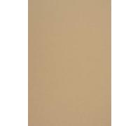 Netuno 100x Brown Construction Paper A4 210 x 297 mm 8.3 x 11.7 in 140gsm Woodstock Noce Colourful Recycled Craft Paper for cardmaking Scrapbooking bricolage Decorations DIY Projects