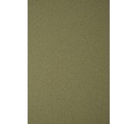 Netuno 100x dark green embossed cardstock A4 210x297mm 8.3x11.7in 250gsm Tintoretto Wasabi natural textured paper decorative cardstock embossed paper for invitations wedding menu place cards gift tags