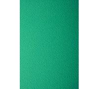 Netuno 100x Grass Green Textured cardstock A4 210x297mm 220g Prisma Verde Coloured Cardboard one-Sided Felt Textured cardstock Paper Colorful Decorating Paper for Scrapbooking Diplomas DIY Art Craft