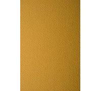 Netuno 100x Light Brown Textured cardstock A4 210x297mm 220g Prisma Tabacco Coloured Cardboard one-Sided Felt Textured cardstock Paper Colorful Decorating Paper for Scrapbooking Diplomas Art Craft