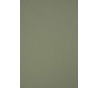 Netuno 100x Olive Green A4 Recycled Cardboard 210x297 mm (8.27x11.7 Inches) 120gsm Materica Verdigris - Natural Ecological Paper for Crafts, Eco-Friendly Colored Card