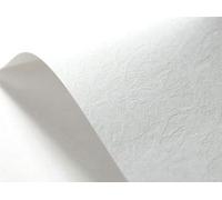 Netuno 100x White Leather Embossed cardstock A4 210x297mm 8.3x11.7in 246gsm Elfenbein Textured Paper Decorative cardstock for Invitations menus Photo Albums Table Cards Covers Business Cards Flyers