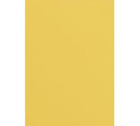 Netuno 100x Yellow Coloured Paper 120gsm A4 210x297mm 8.3 x 11.7 in Malmero Soleil Multi-Colored Craft Paper Art Paper Printable Colored Paper for Invitations brochures Arts and Crafts Scrapbooking