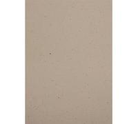 Netuno 10x Beige Cardboard A5 148x210mm 5.8x8.3 in 250gsm Crush Cocoa Natural Paper Elegant Printable Cardboard Coloured Recycled Paper for Invitations Business Cards brochures Book Covers menus