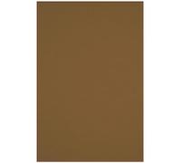 Netuno 10x Brown Cardboard A4 210x297mm 8.3x11.7in 250gsm Crush Hazelnut Natural Paper Elegant Printable Cardboard Coloured Recycled Paper for Invitations Business Cards brochures Book Covers menus
