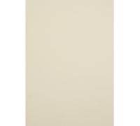 Netuno 10x Cream Cardboard A4 210x297 mm 8.3x11.7 in 250gsm Crush Citrus Natural Paper Elegant Printable Cardboard Colourful Recycled Paper for Invitations Business Cards brochures Book Covers menus