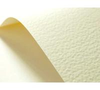 Netuno 10x Cream Hammered Embossed cardstock A3 297x420mm 11.7x16.5in 246gsm Elfenbein Textured Paper Decorative cardstock for Invitations menus Photo Albums Table Cards Covers Business Cards Flyers