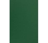 Netuno 10x Dark Green Coloured Paper A4 210 x 297 mm 8.3 x 11.7 in 170gsm Sirio Color Foglia Colourful Printable Card Craft Paper for DIY Projects cardmaking Invitations Greeting Cards Weddings