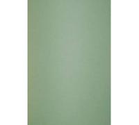 Netuno 10x Green Coloured Cardboard A4 210 x 297 mm 8.3 x 11.7 in 300gsm Keaykolour Matcha Tea Natural eco Paper Colourful cardstock for Card Making Scrapbooking DIY brochures Invitations Place Cards