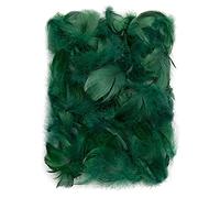 Netuno 150 Decorative Feathers Dark Green 10g Craft Feathers for DIY Crafting Decoration Easter Christmas Decorative Figure