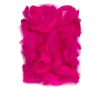 Netuno 150 Decorative Feathers Dark Pink 10g Craft Feathers for DIY Crafting Decoration Easter Christmas Decorative Figure