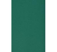 Netuno 20 Sheets cardstock Burano A4 Dark Green English Green 250 g/m²