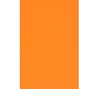 Netuno 20 Sheets cardstock Burano A4 Orange Arancio Trop 250 g/m²