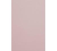 Netuno 20 Sheets Light Pink A4 Cardstock 210x297 mm 300gsm Malmero Rose Antique Thick Paper for Crafts School Projects Decorations