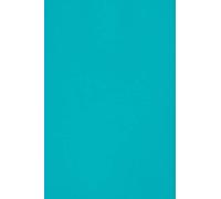 Netuno 20 Sheets of Blue Cardboard A4 210 x 297 mm 8.27 x 11.69 250 GSM Burano Azzurro Reale Double Sided Paper for Inkjet Laser Printing Scrapbooking Invitation Crafting Greeting Card Business Flyer