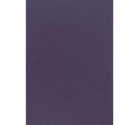 Netuno 20 Sheets of Premium Colour Card Purple DIN A4 21 x 29.7 cm 225 g Aster Colour Aubergine Environmentally Friendly Craft Paper Coloured High Quality for Invitations Packaging Printed Materials