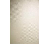 Netuno 20x Cream Pearlescent Paper with Dotted Pattern 250gsm A4 210x297mm 8.3x11.7in Aster Metallic Cream Dots Pearlescent cardstock Metallic cardstock for DIY Wedding Invitations Card Making