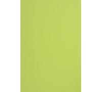 Netuno 20x Light Green Coloured Paper A4 210 x 297 mm 8.3 x 11.7 in 170gsm Sirio Color Lime Colourful Printable Card Craft Paper for DIY Projects cardmaking Invitations Greeting Cards Weddings