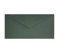 Netuno 25 Long Algae Green envelopes DL 110 x 220 mm 4.33 x 8.66 in 120gsm Keaykolour Sequoia Elegant Invitation Envelope Colourful Recycled envelopes for Letters Flyers Business Cards Weddings