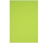 Netuno 25 Sheets Bright Green Colored Paper A4 210 x 297 mm 8.27 x 11.69 in 160 GSM Rainbow for Printing Crafts Office Presentations Photocopies