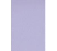 Netuno 25 x Coloured Paper Purple DIN A4 21 x 29.7 cm 160 g Rainbow Coloured Copy Paper Colourful Printing Paper Craft Paper Colourful Printable Coloured Paper Matt Creative Paper Printer Colour Paper