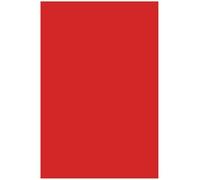 Netuno 250 Sheets Intense Red Colored Paper A4 210 x 297 mm 8.27 x 11.69 in 160 GSM Rainbow for Printing Crafts Office Presentations Photocopies