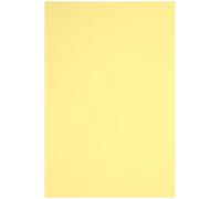 Netuno 250 Sheets Light Yellow Colored Paper A4 210 x 297 mm 8.27 x 11.69 in 160 GSM Rainbow for Printing Crafts Office Presentations Photocopies