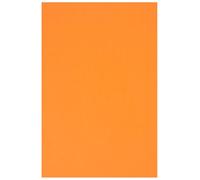 Netuno 250 Sheets Orange Colored Paper A4 210 x 297 mm 8.27 x 11.69 in 160 GSM Rainbow for Printing Crafts Office Presentations Photocopies