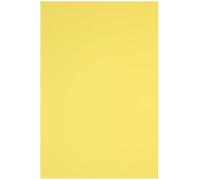 Netuno 250 Sheets Yellow Colored Paper A4 210 x 297 mm 8.27 x 11.69 in 160 GSM Rainbow for Printing Crafts Office Presentations Photocopies