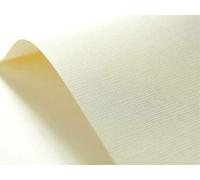 Netuno 40x Cream gridded Embossed cardstock A5 148x210mm 5.8x8.3in 246gsm Elfenbein Textured Paper Decorative cardstock for Invitations menus Photo Albums Table Cards certificates Flyers Diplomas