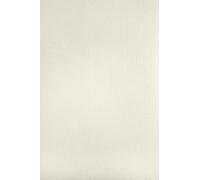 Netuno 50 Laid Ivory Paper A4 297 x 210 mm 8.3 x 11.7 in 120gsm Aster Laid Ivory Elegant Ribbed Paper Textured Decorative Cardboard for certificates Weddings Invitations Anniversaries Diplomas