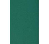 Netuno 50 Sheets cardstock Burano A5 Dark Green English Green 250 g/m²
