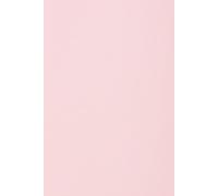Netuno 50 Sheets Light Pink Colored Paper A4 210 x 297 mm 8.27 x 11.69 in 80 GSM Rainbow for Printing Crafts Office Presentations Photocopies