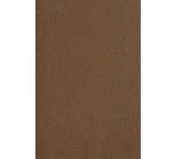 Netuno 50 Sheets of Brown Cardboard A5 148,5 x 210 mm 5.83 x 8.27 250 GSM Burano Tabbacco Double Sided Paper for Inkjet Laser Printing Scrapbooking Invitations Crafting Greeting Cards Business Flyers