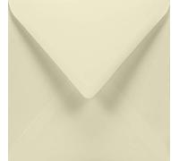 Netuno 50 Square Ivory envelopes 155 x 155 mm 6.1 x 6.1 in 120gsm Aster Smooth Ivory Elegant Cream Printable envelopes for Wedding Invitations Birthday Cards Greeting Cards Christmas Business