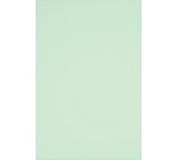 Netuno 500 Sheets Light Green Colored Paper A4 210 x 297 mm 8.27 x 11.69 in 80 GSM Rainbow for Printing Crafts Office Presentations Photocopies